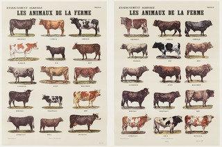 The Farm Animals (les Animaux De La Ferme) — Marcel Broodthaers