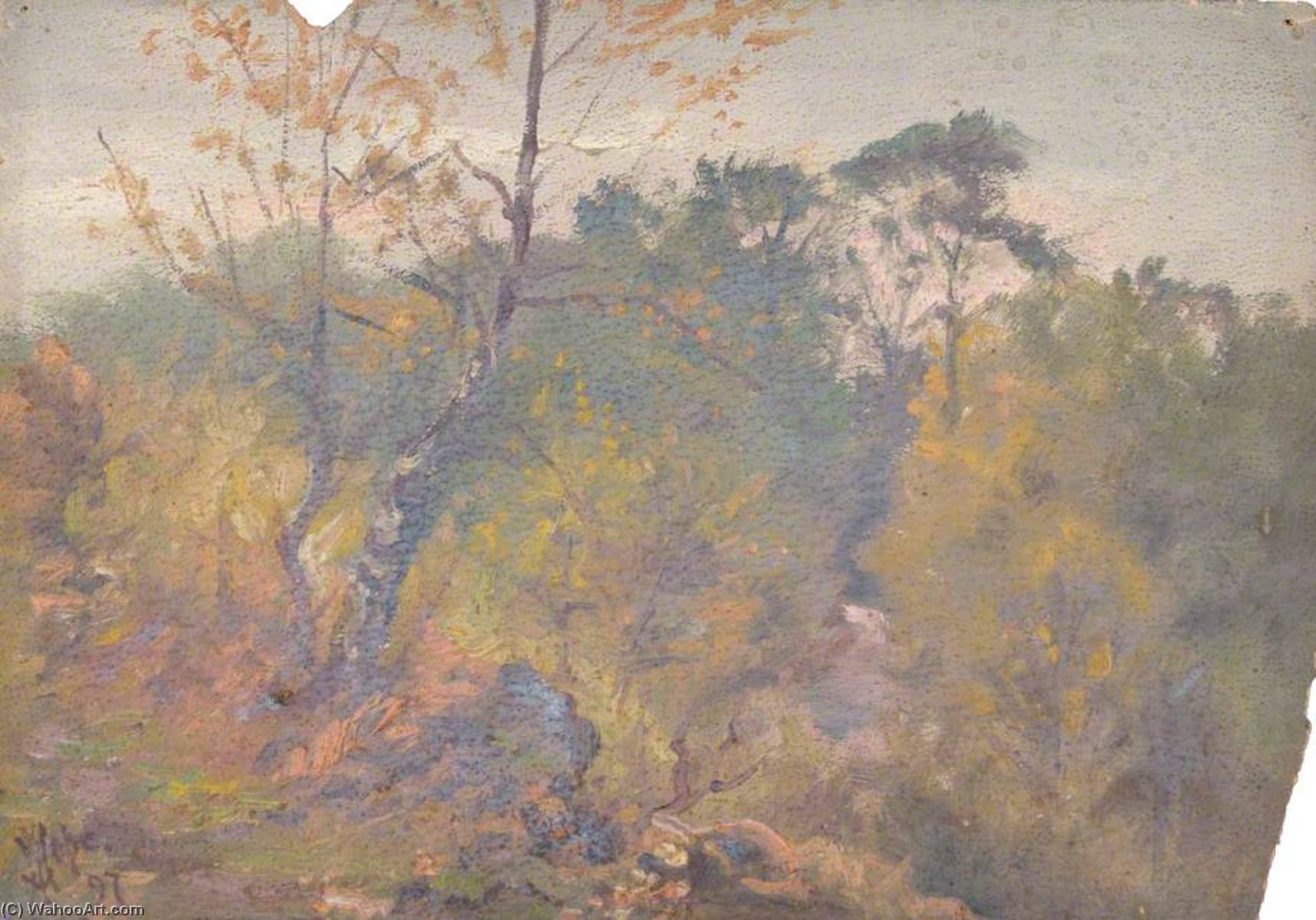 Croham Hurst, Croydon, Surrey, November 1897 — William Henry Hope