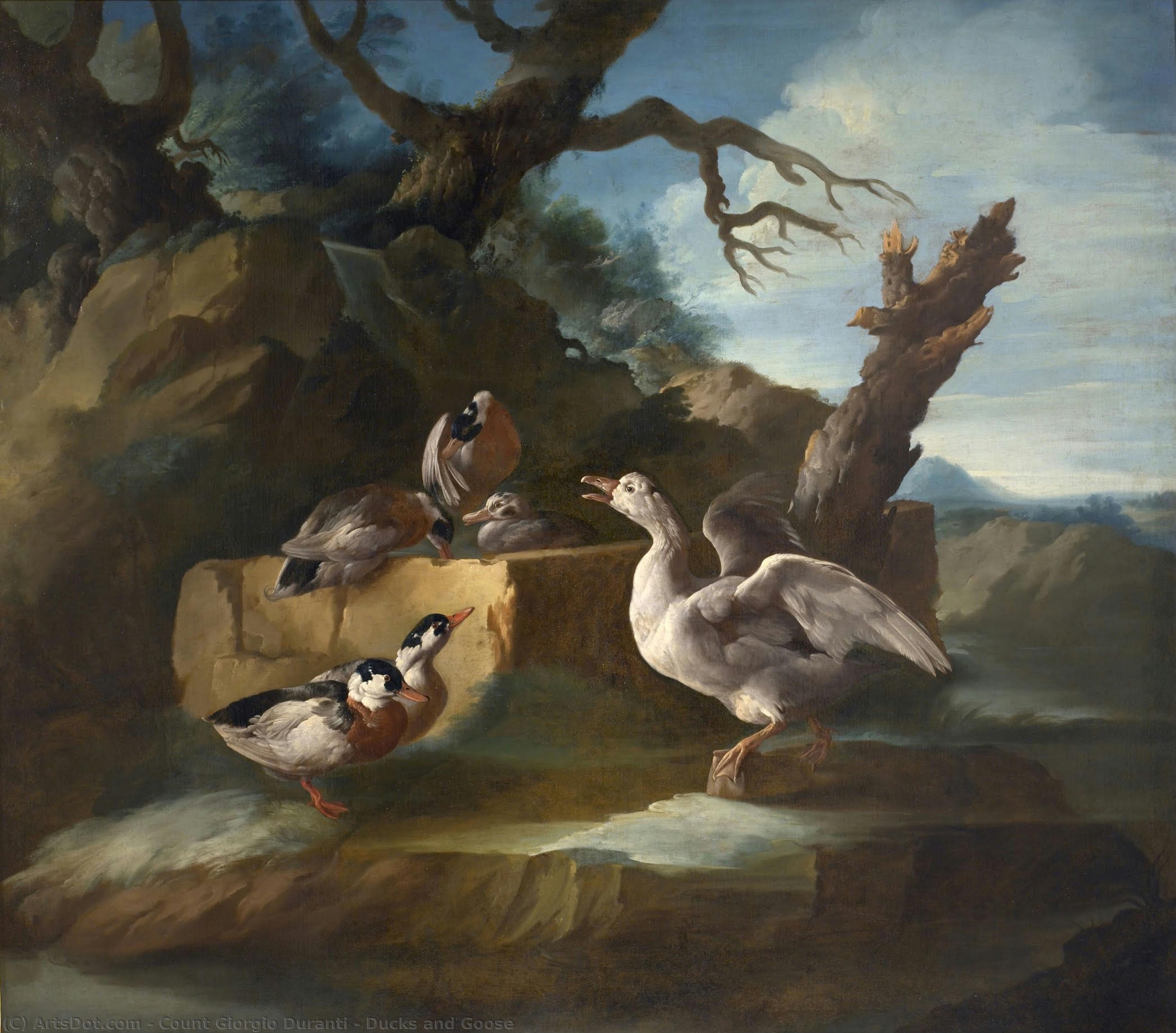 Ducks And Goose — Giorgio Duranti