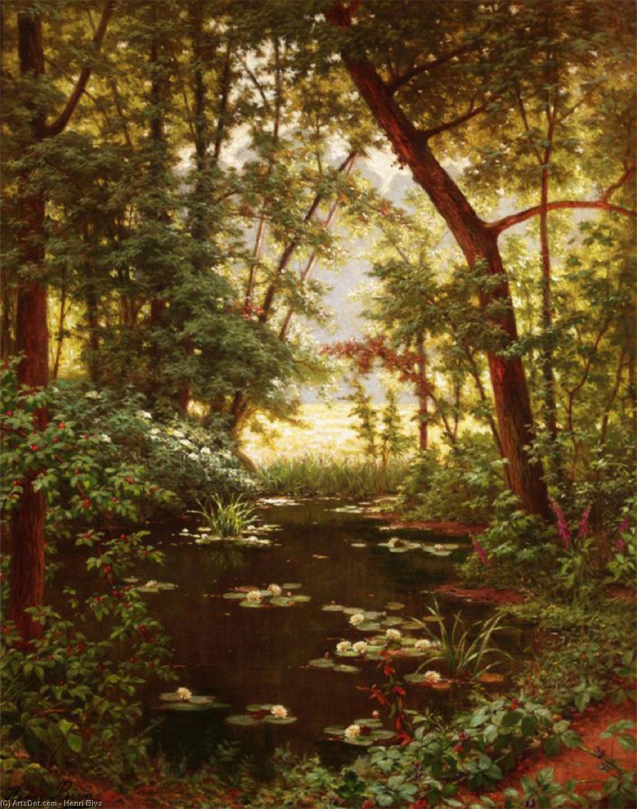 Les Nenuphar — Henri Biva