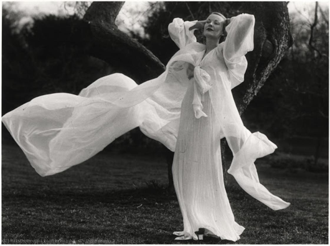 Peignoir In A Soft Breeze — Martin Munkacsi