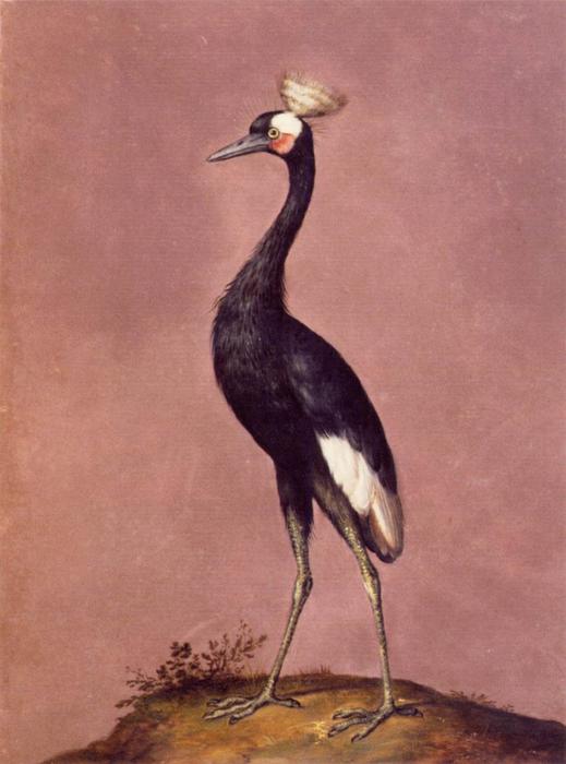 Birds — Ђузепе Арчимболдо