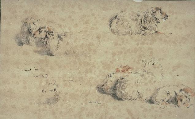 Study Of Seven Sheep And The Head Of An Eighth — Nicolaes Pietersz Berchem