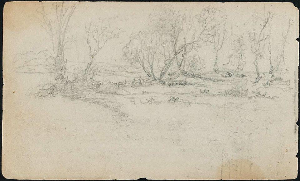 Meadow, Fence And Row Of Trees — Martin Johnson Heade
