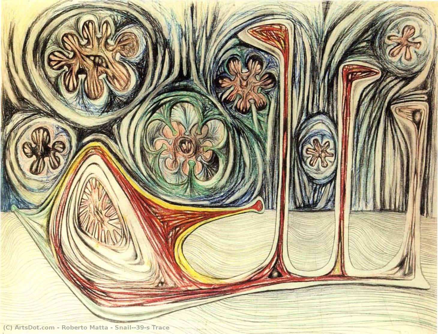 Snail's Trace — Roberto Matta