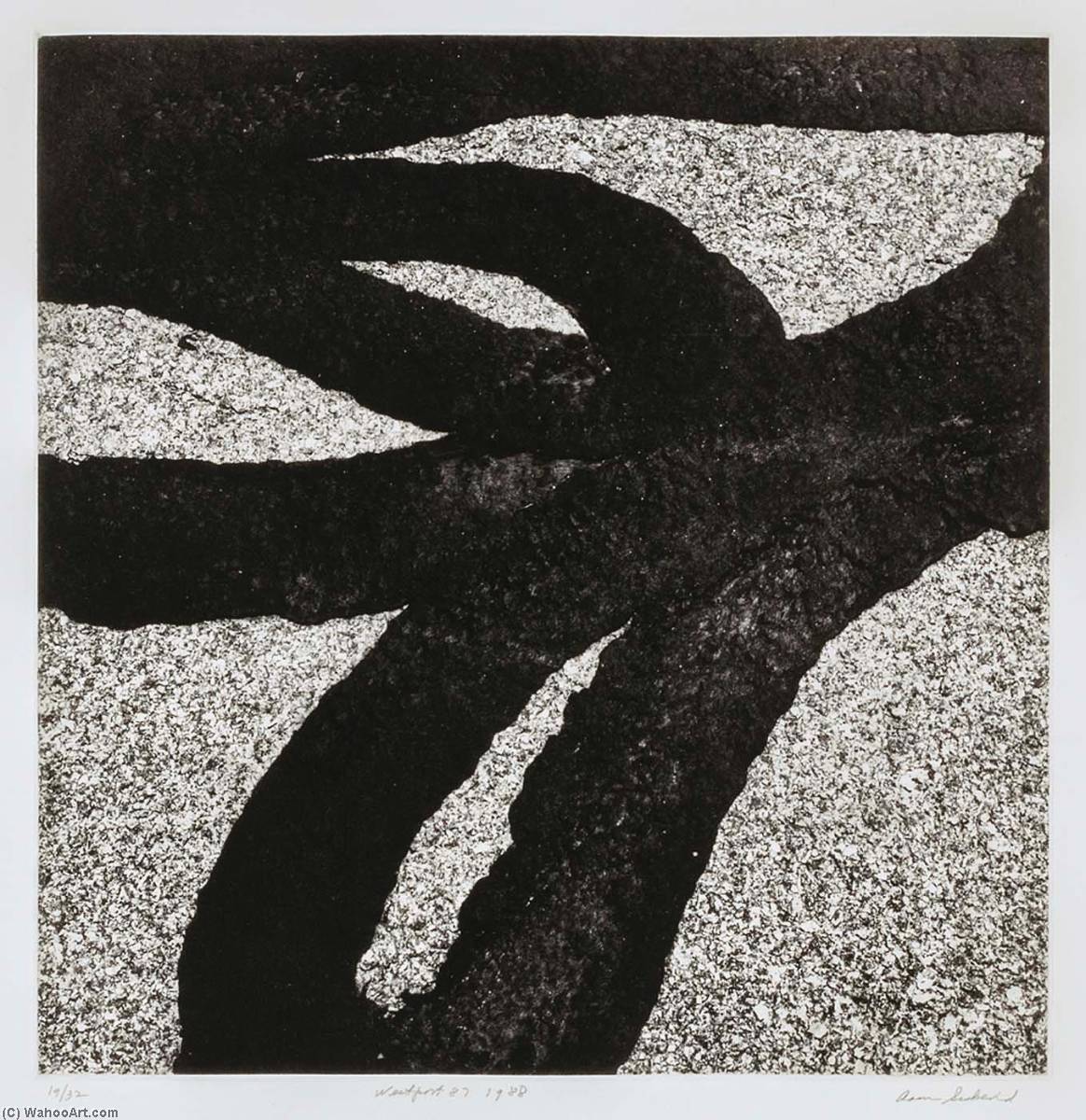 Westport 87, 1988, From The Portfolio Tar Abstracts — Aaron Siskind