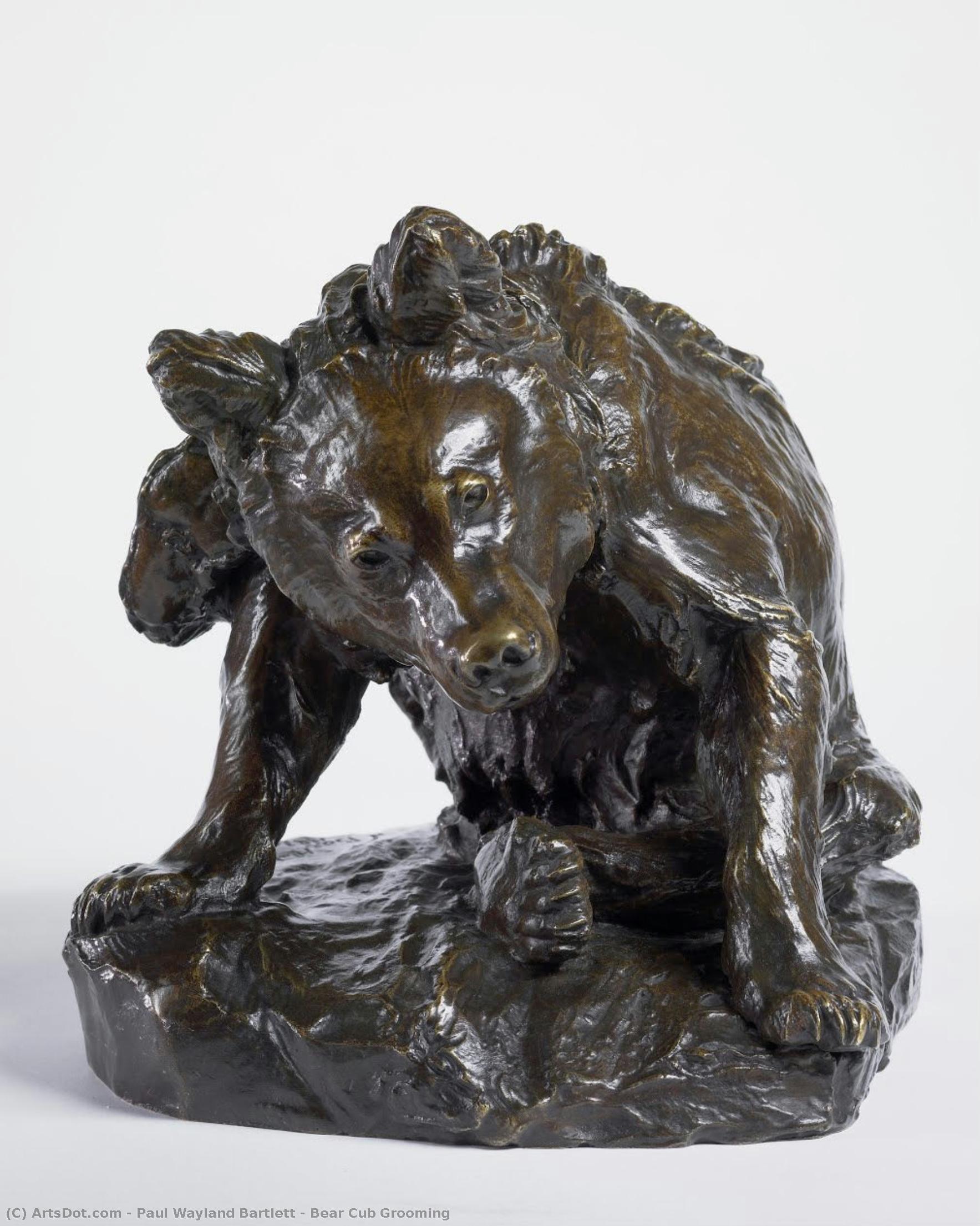 Bear Cub Grooming — Paul Wayland Bartlett