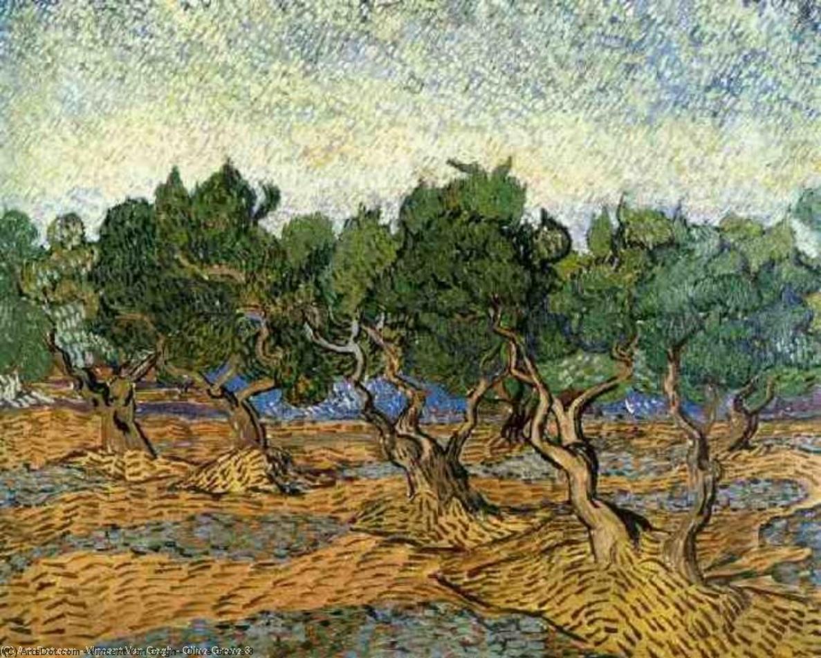 Olive Grove 3 — Vincent Willem Van Gogh
