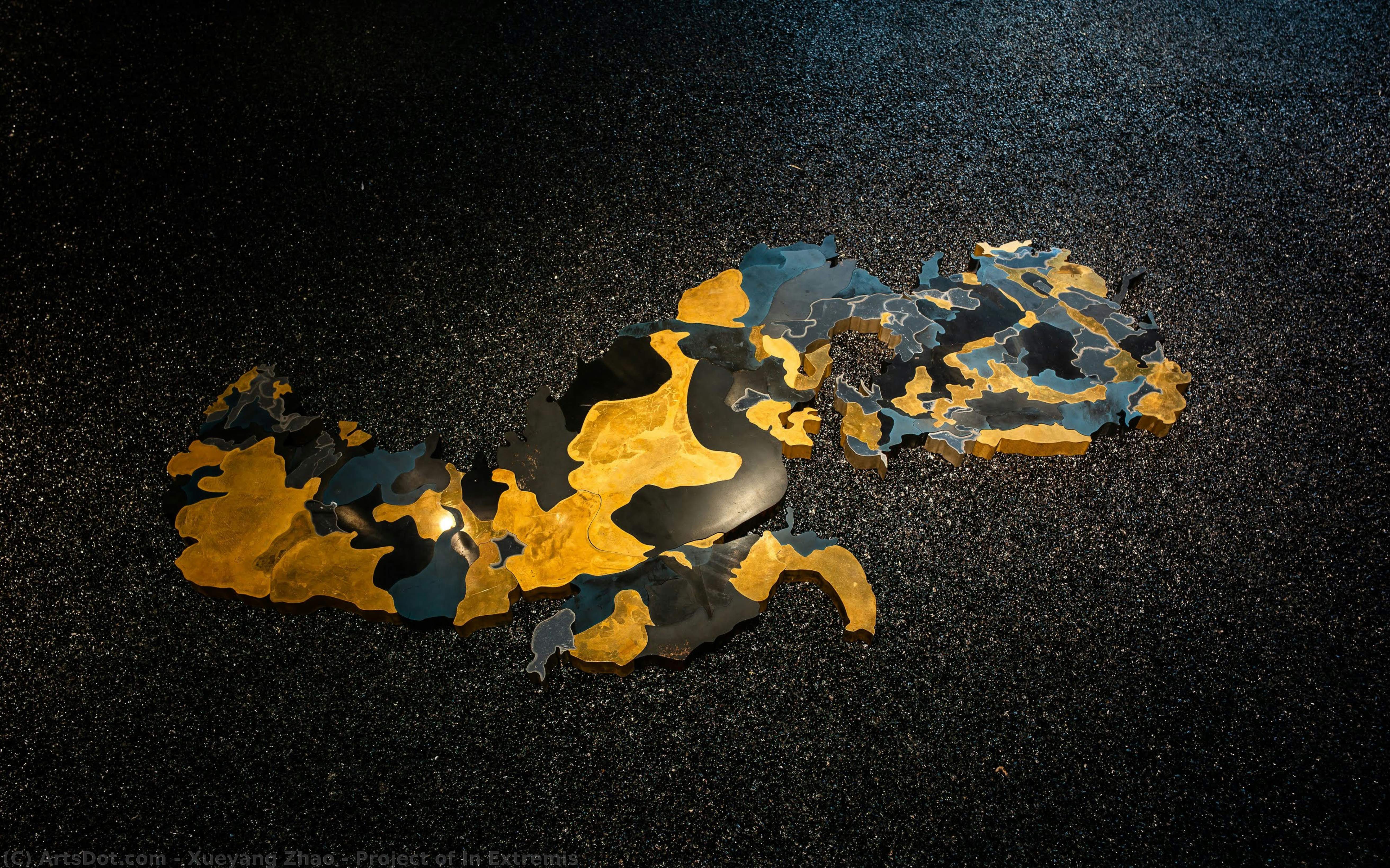 Project Of In Extremis — Xueyang Zhao