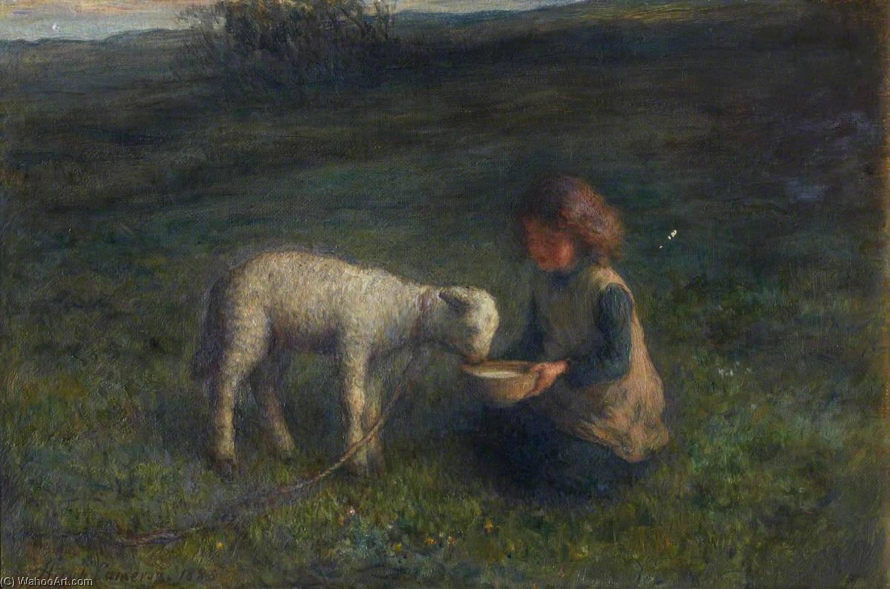 The Pet Lamb — Hugh Cameron Wilson