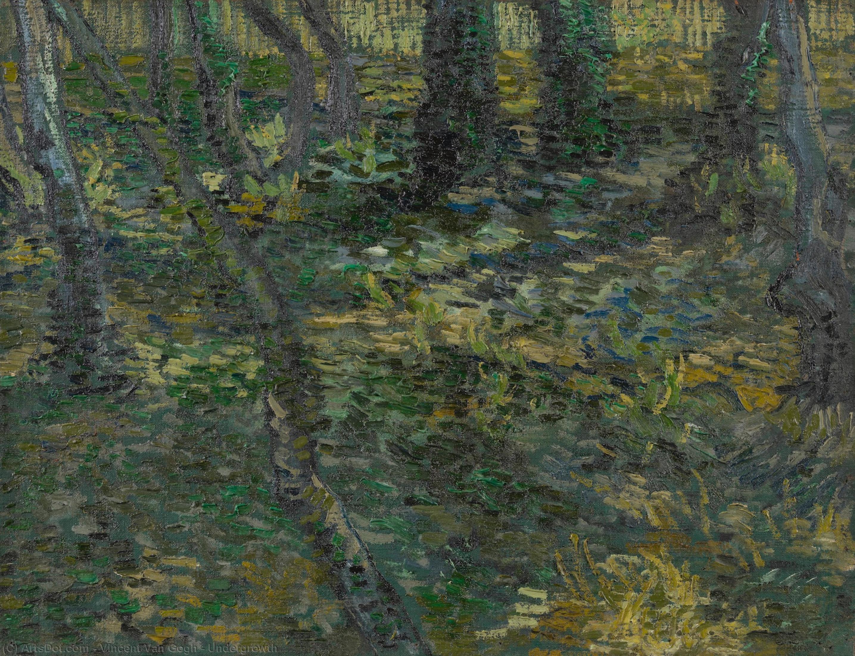 Undergrowth — Vincent Willem Van Gogh