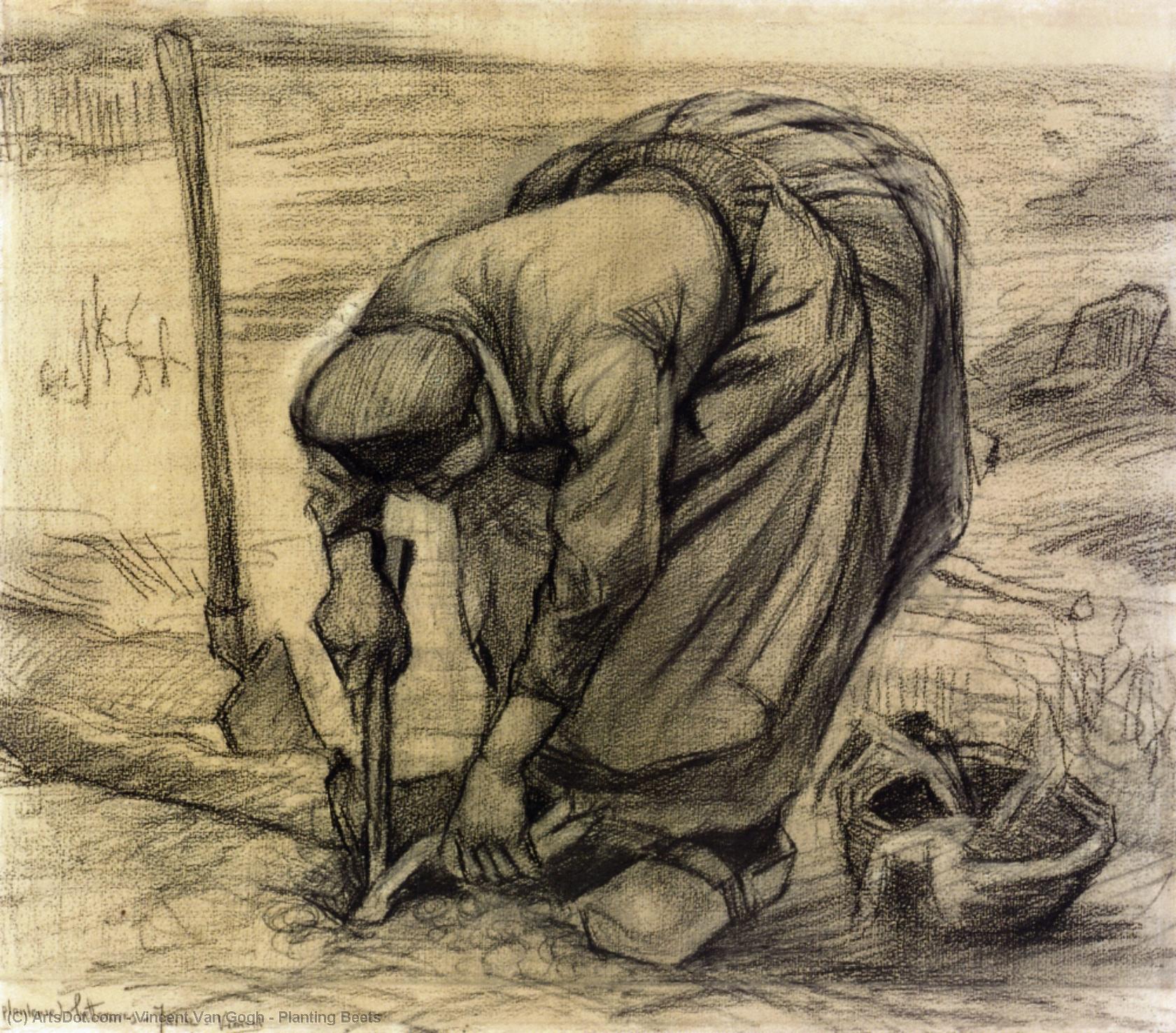 Planting Beets — Vincent Willem Van Gogh
