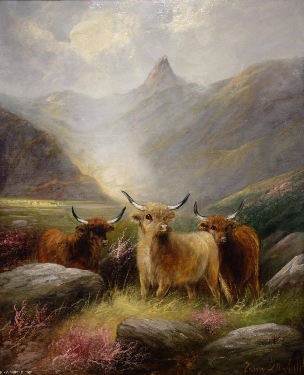 Highland Cattle In A Glen — Edward Armfield