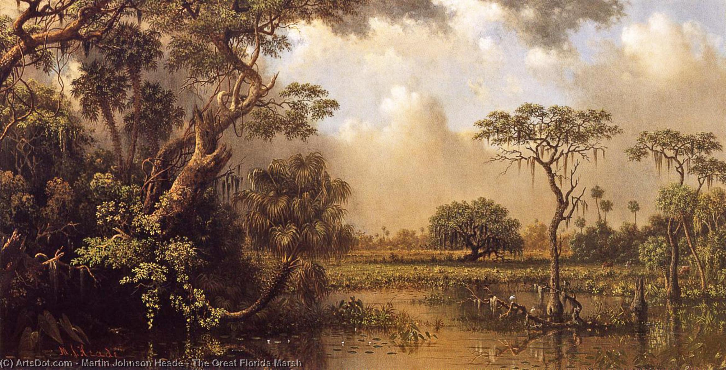 The Great Florida Marsh — Мартин Джонсон Хед