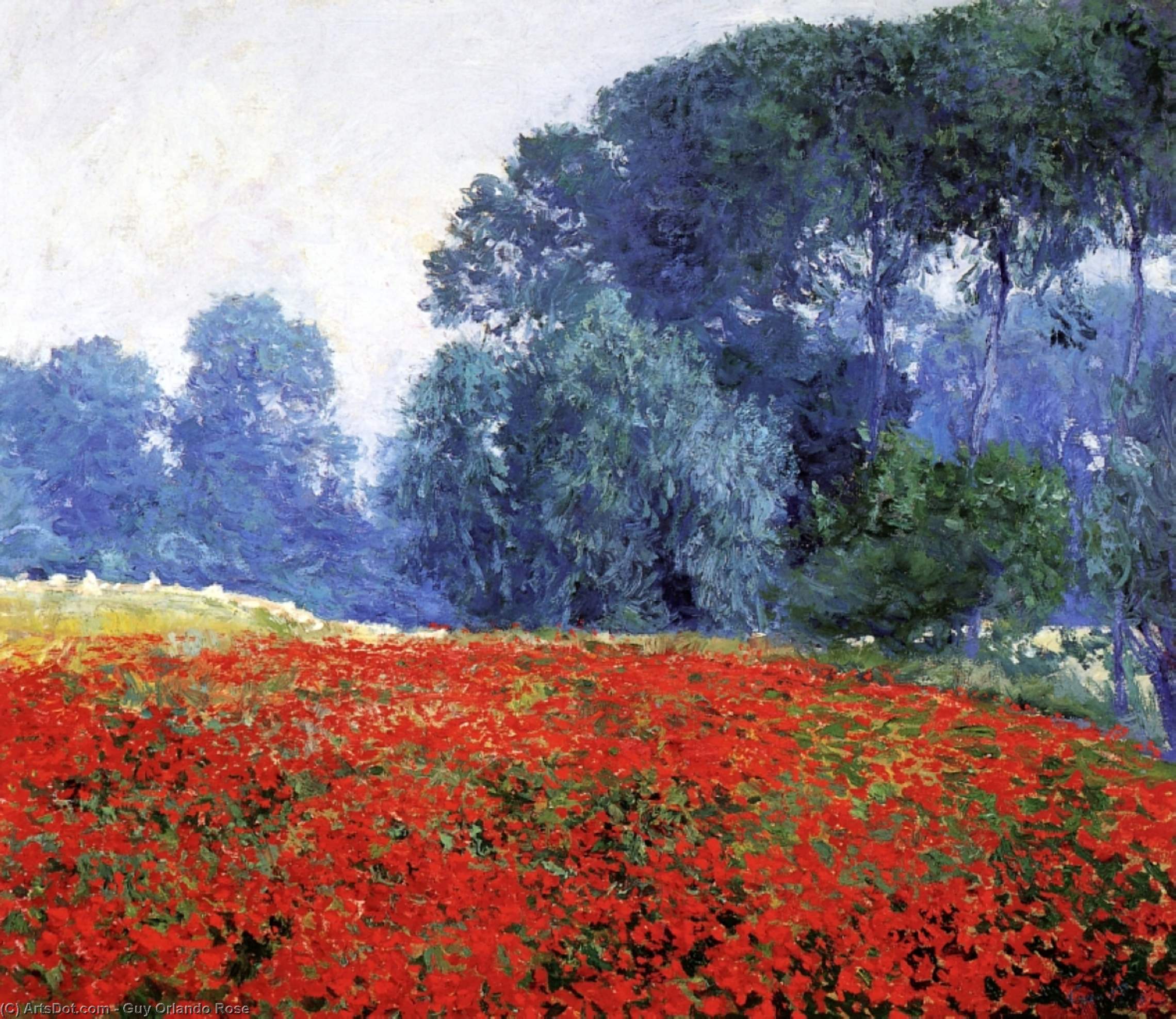 Poppy Field — Гуи Роуз