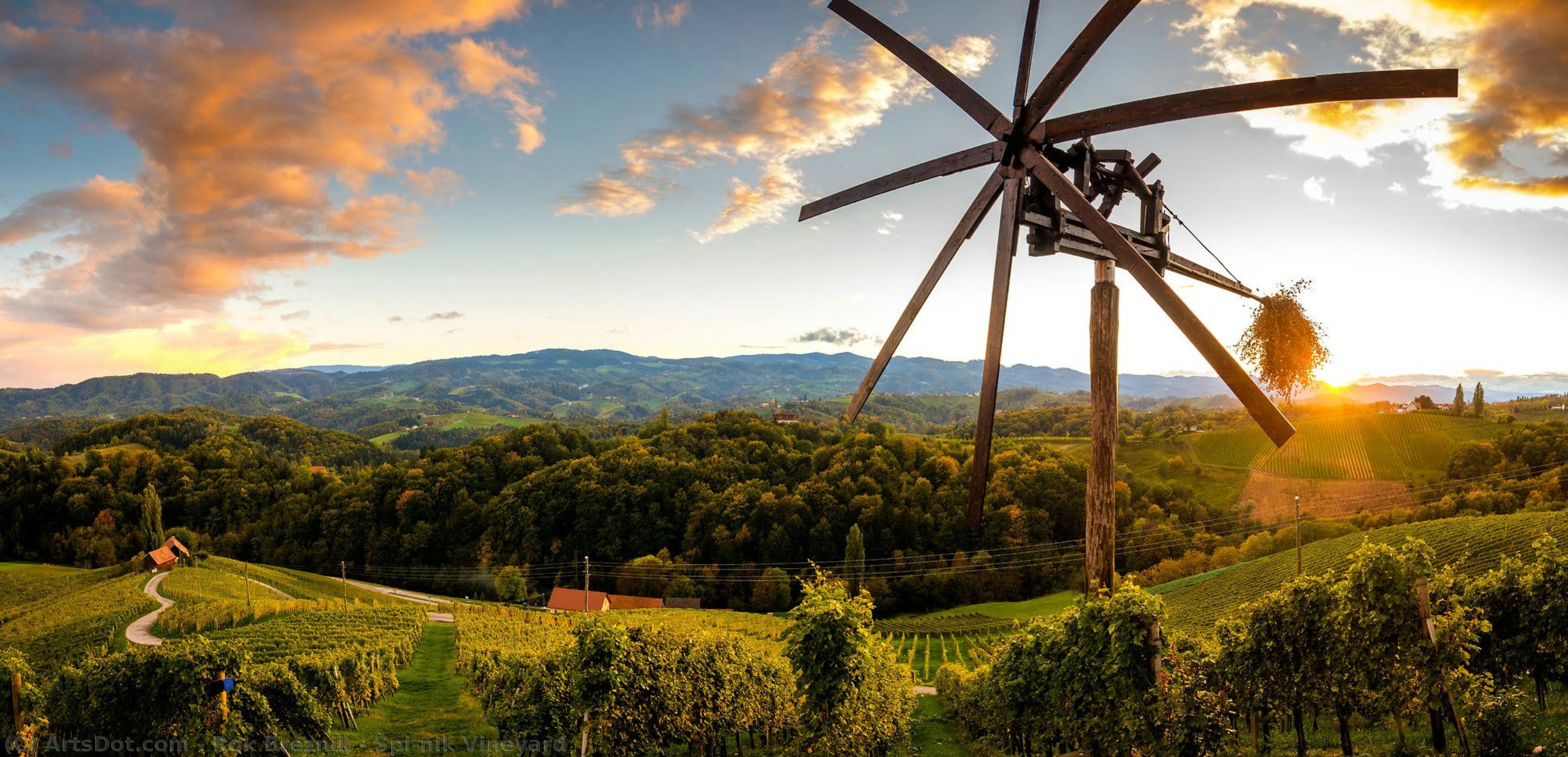 Špičnik Vineyard — Rok Breznik