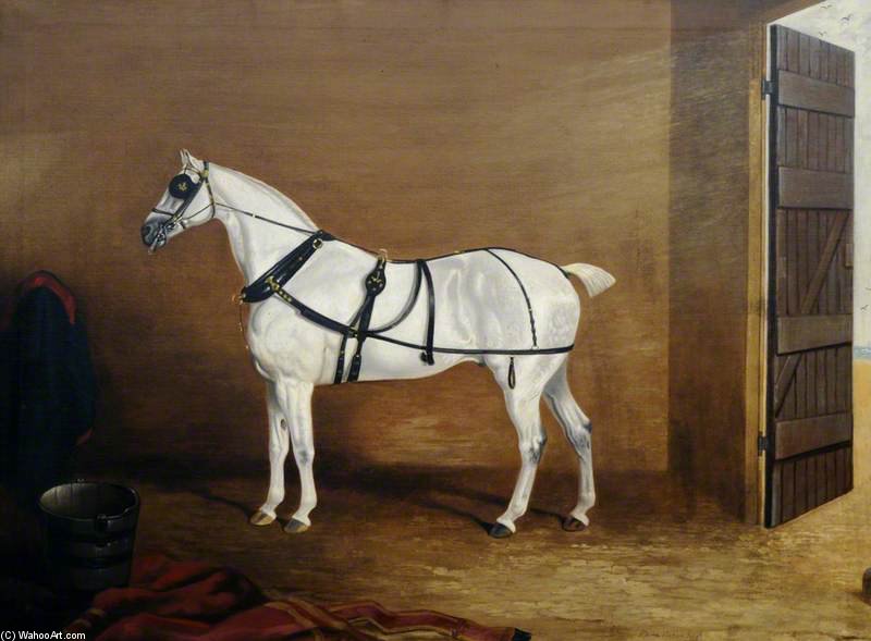 A Grey Carriage Horse In A Stable — Edwin Cooper