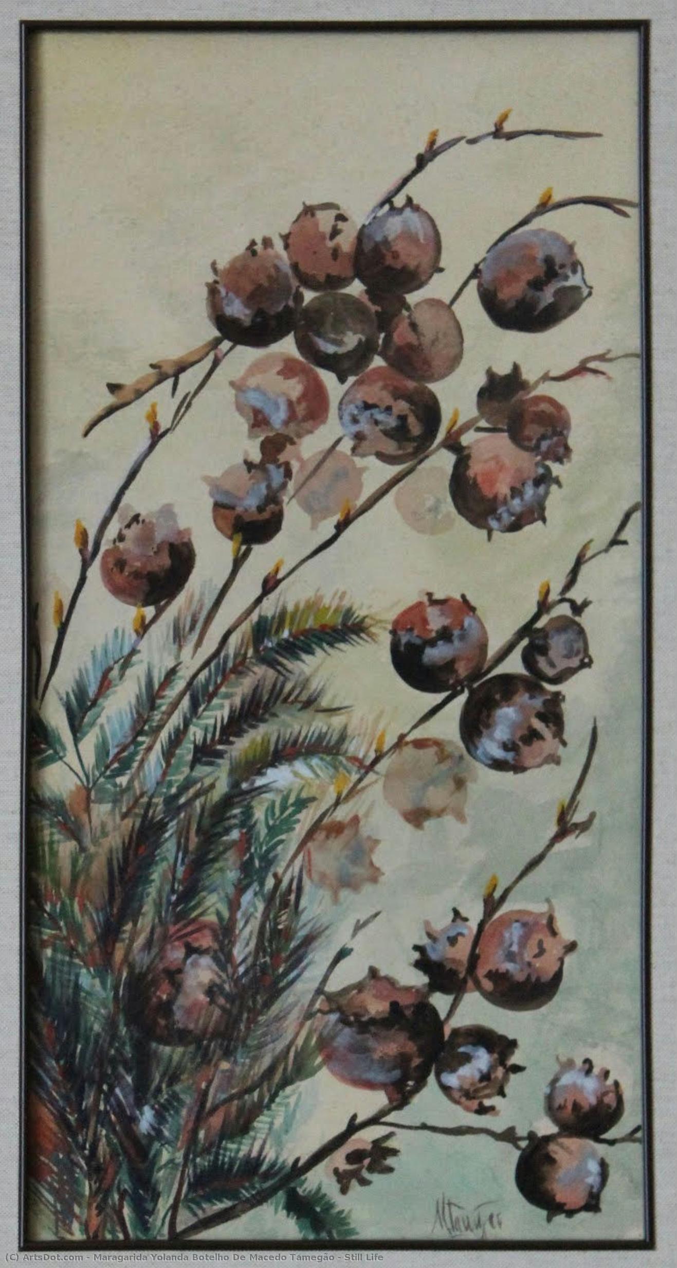 Still Life — Maragarida Yolanda Botelho De Macedo Tamegão