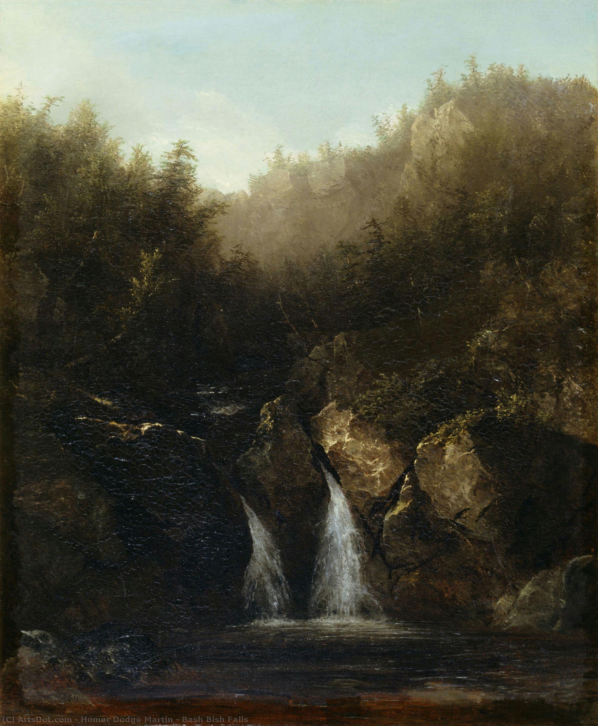 Bash Bish Falls — Homer Dodge Martin