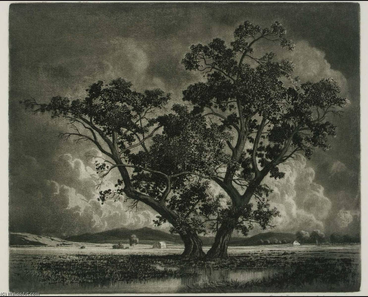 Old Cottonwoods, Colorado — ジョージ・エルバート・バー