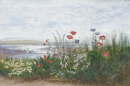 Poppies, Ox-eye Daisies, Dandelions And Foxgloves At The Edge Of A Field, With A View Of Londonderry Beyond — Andrew Nicholl