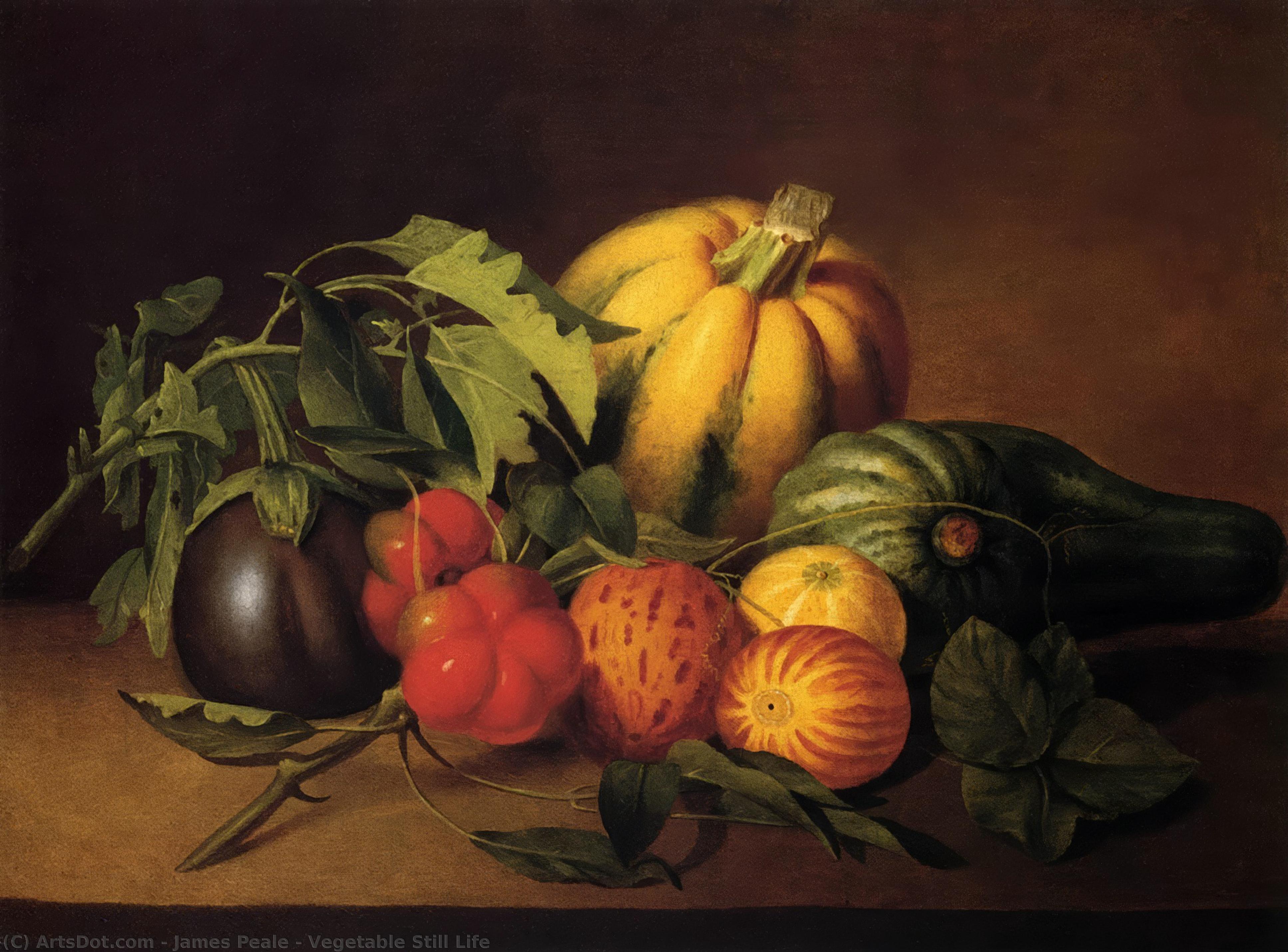 Vegetable Still Life — ジェームズ・ピール