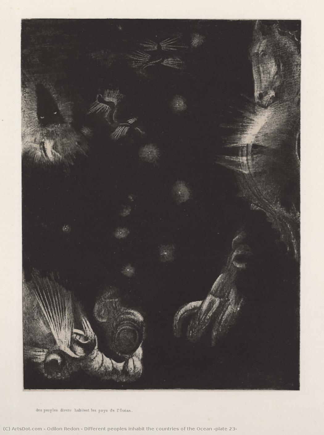 Different Peoples Inhabit The Countries Of The Ocean (plate 23) — Odilon Redon