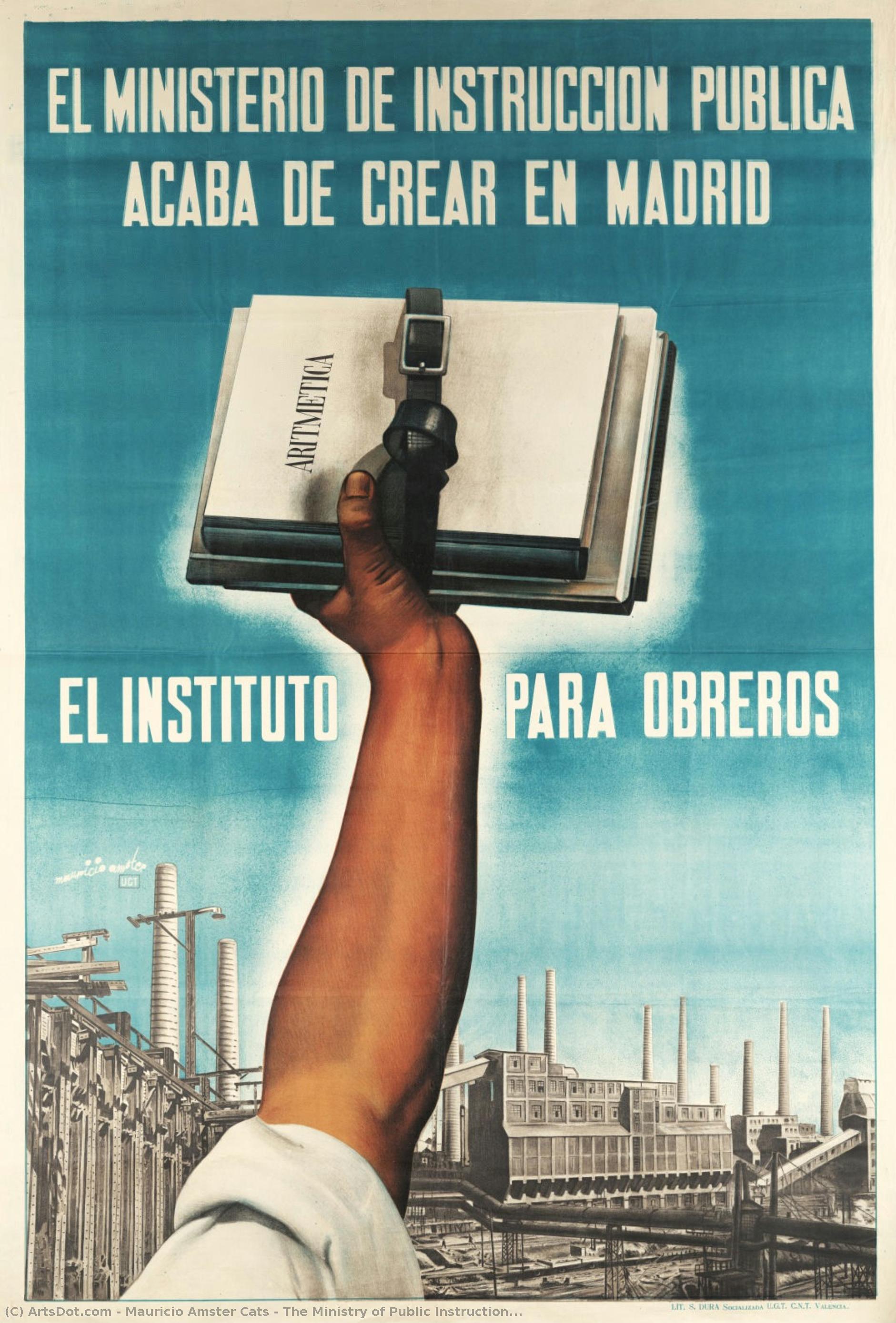 The Ministry Of Public Instruction — Mauricio Amster Cats