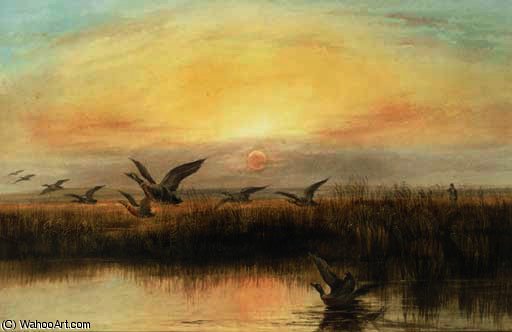 Duck Flighting At Dusk — Andrew Nicholl