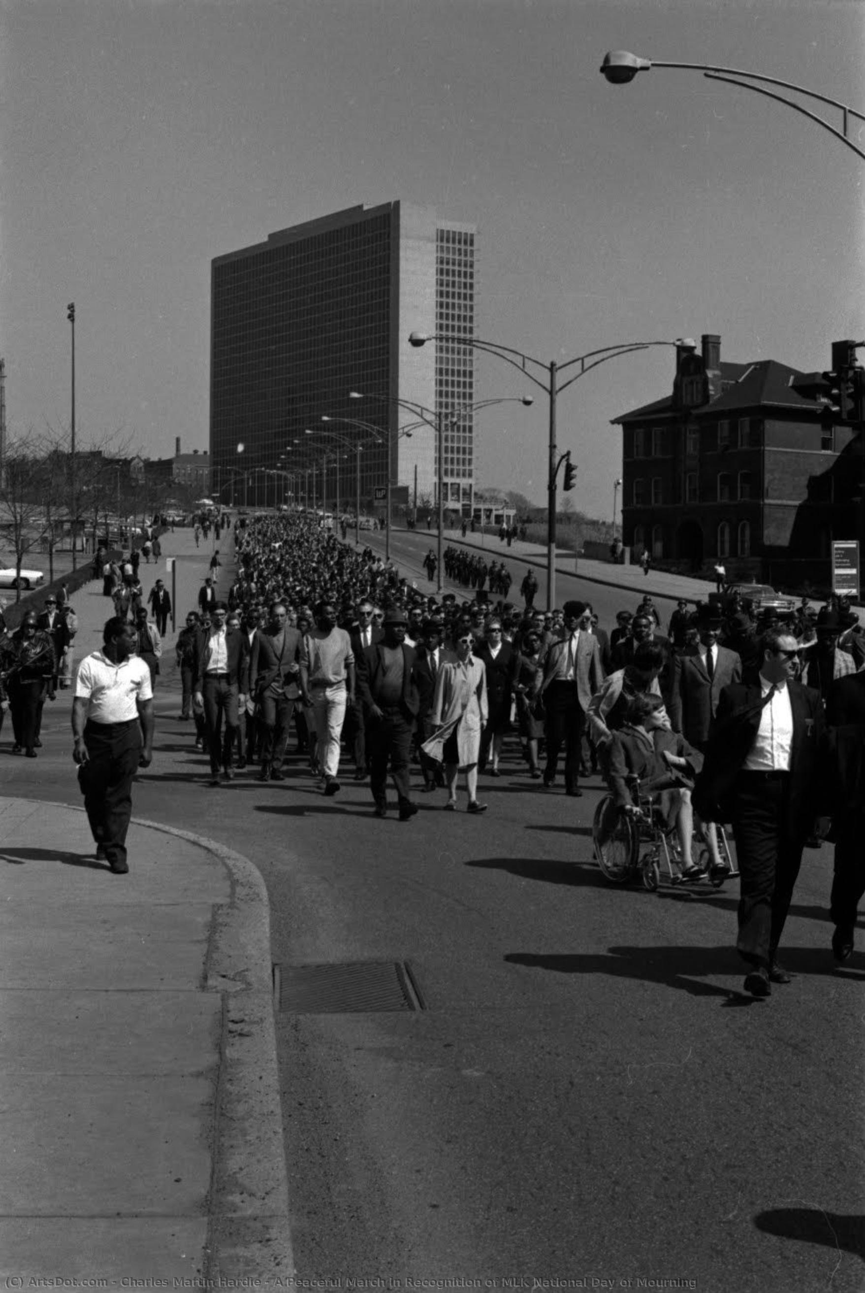 A Peaceful March In Recognition Of Mlk National Day Of Mourning — Charles Martin Hardie