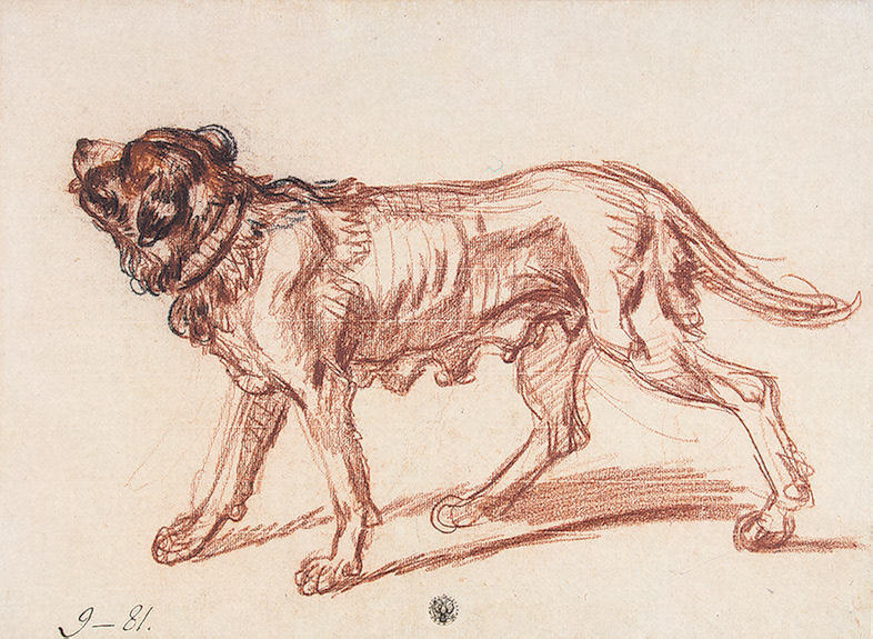 Study For 'the Paralytic'. Study Of A Dog — Jean-baptiste Greuze