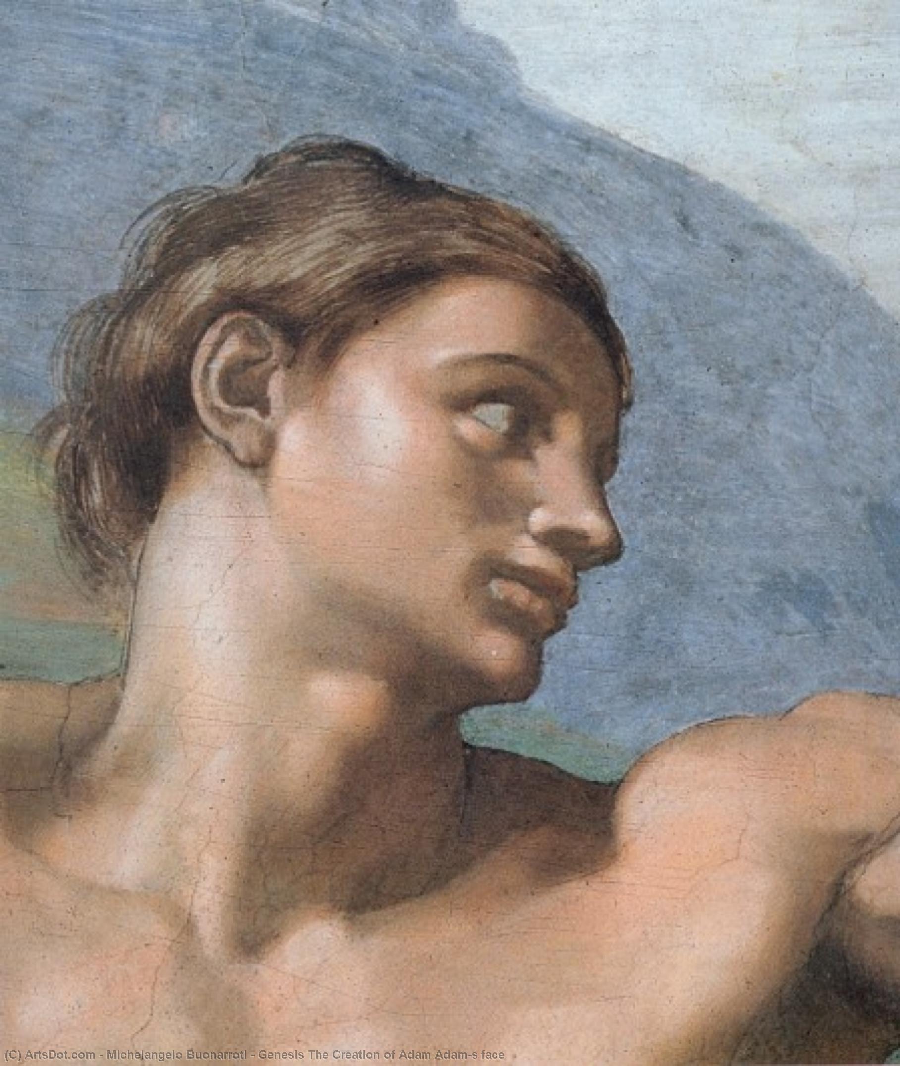 Genesis La Creación De Adán El Rostro De Adán — Miguel Ángel
