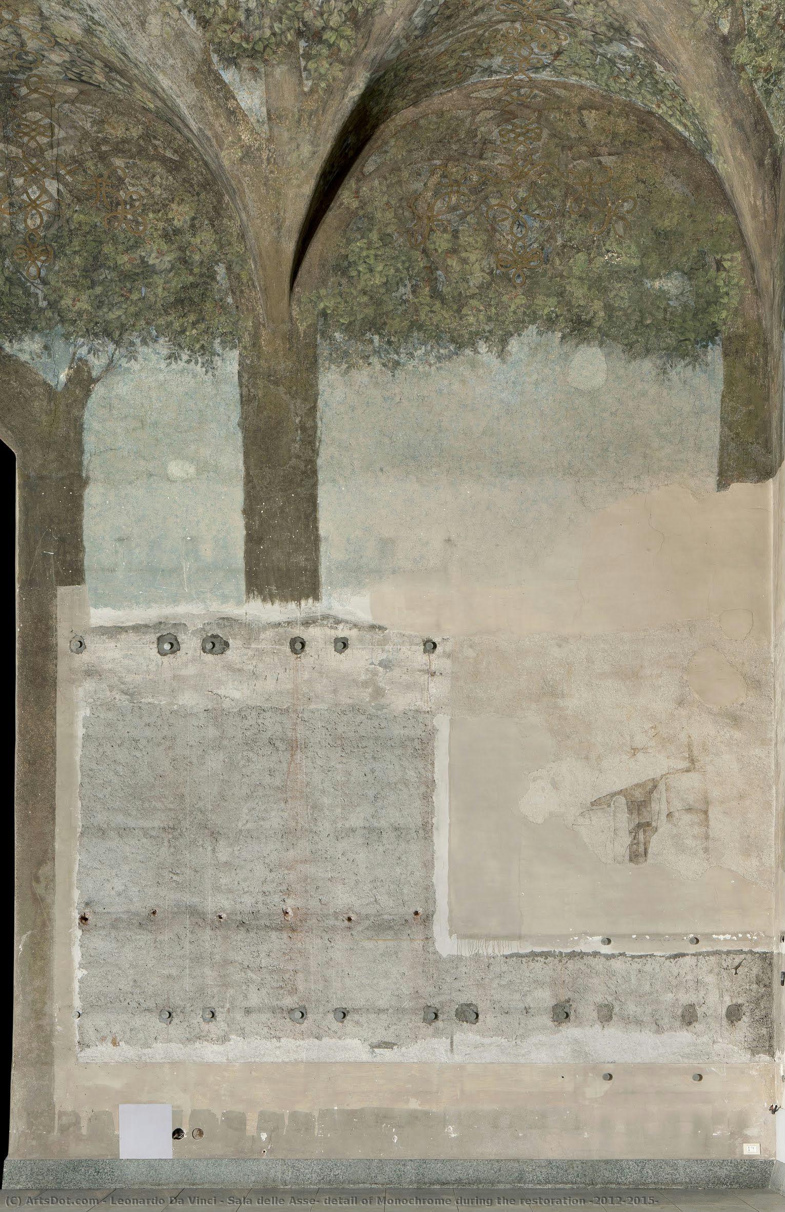 Sala Delle Asse, Detalle De Monocromo Durante La Restauración (2012-2015) — Leonardo Da Vinci
