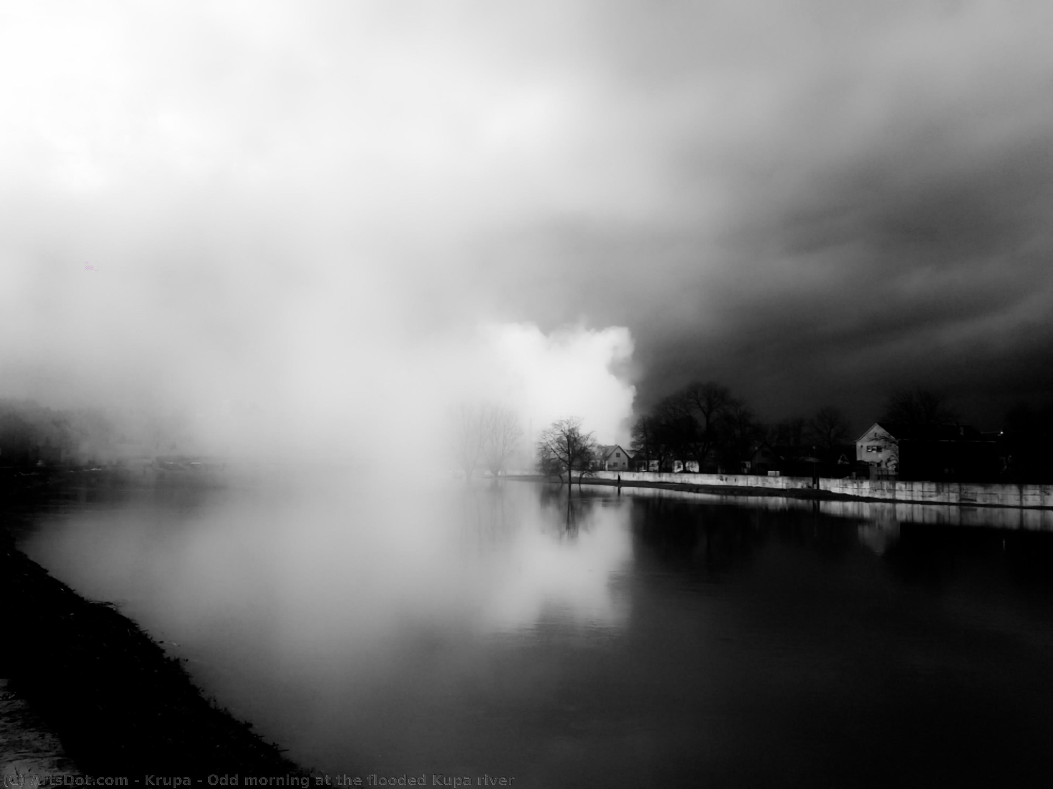 Odd Morning At The Flooded Kupa River — Alfred Freddy Krupa