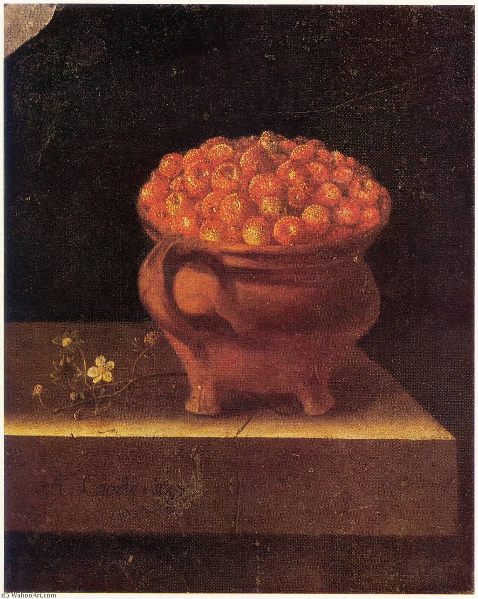 English Strawberries In A Stone Jar — Nach Adriaen Coorte
