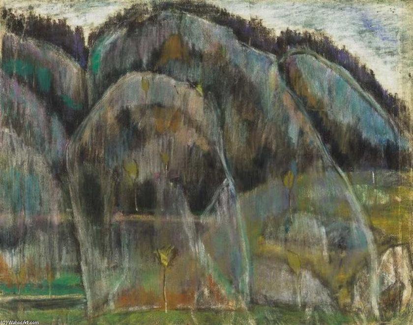 Humid Landscape In Transylvania — István Nagy