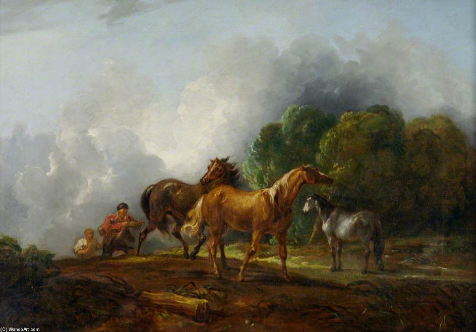 Catching Colts — Thomas Barker