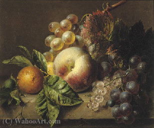A Peach, Medlar, Grapes And White Currants On A Ledge — Adriana Johanna Haanen