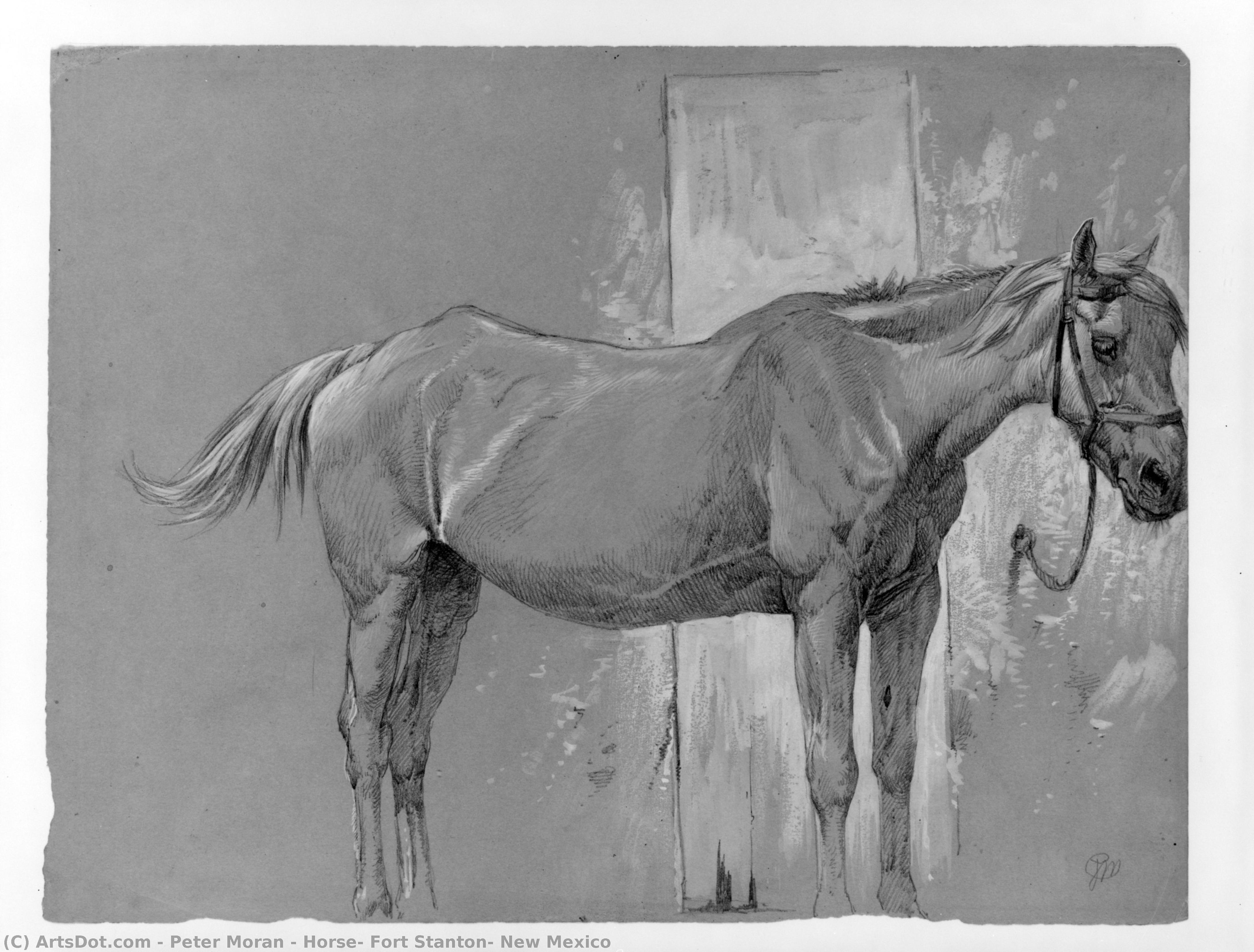 Horse, Fort Stanton, New Mexico — Peter Antony Moran