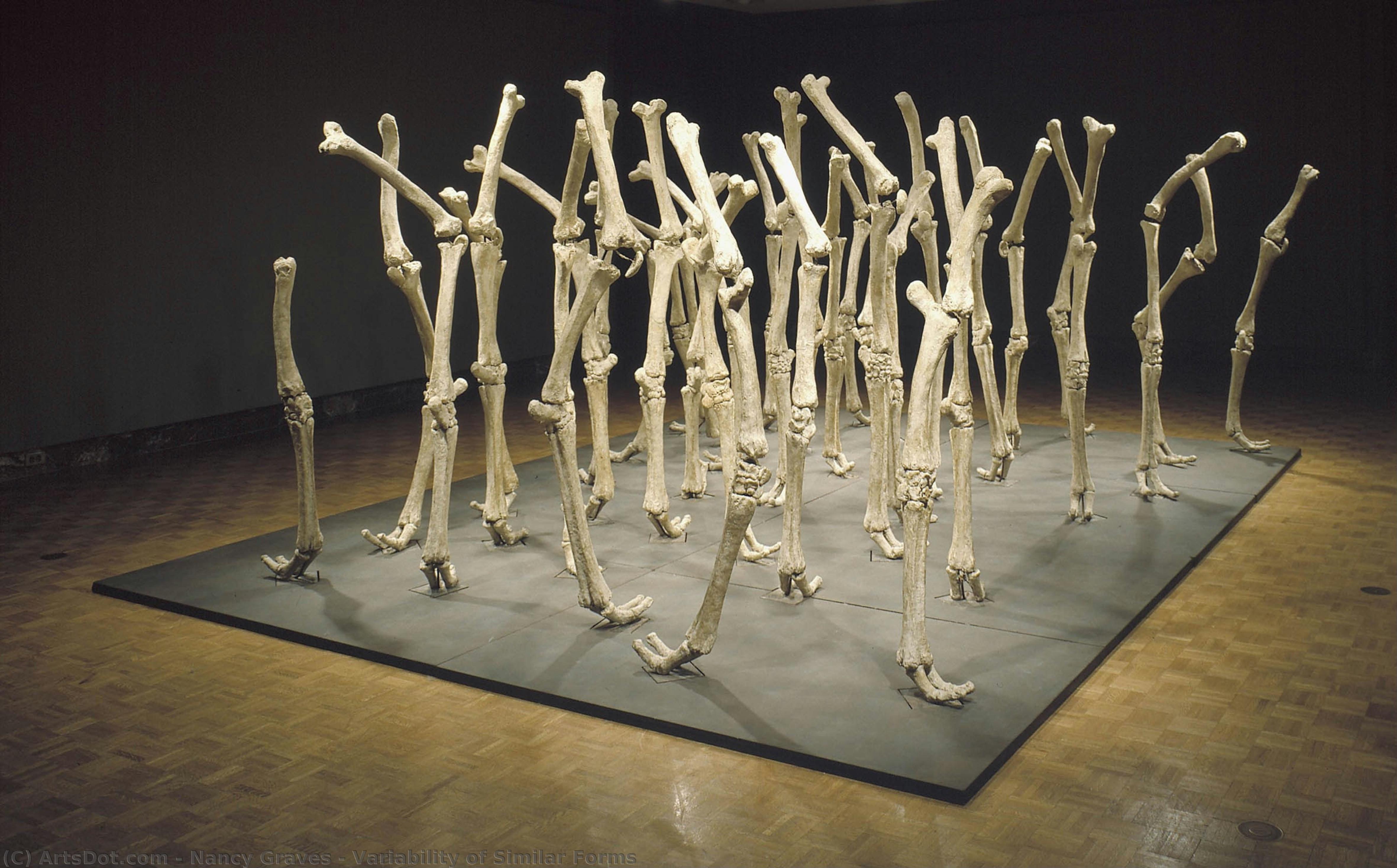 Variability Of Similar Forms — Nancy Graves