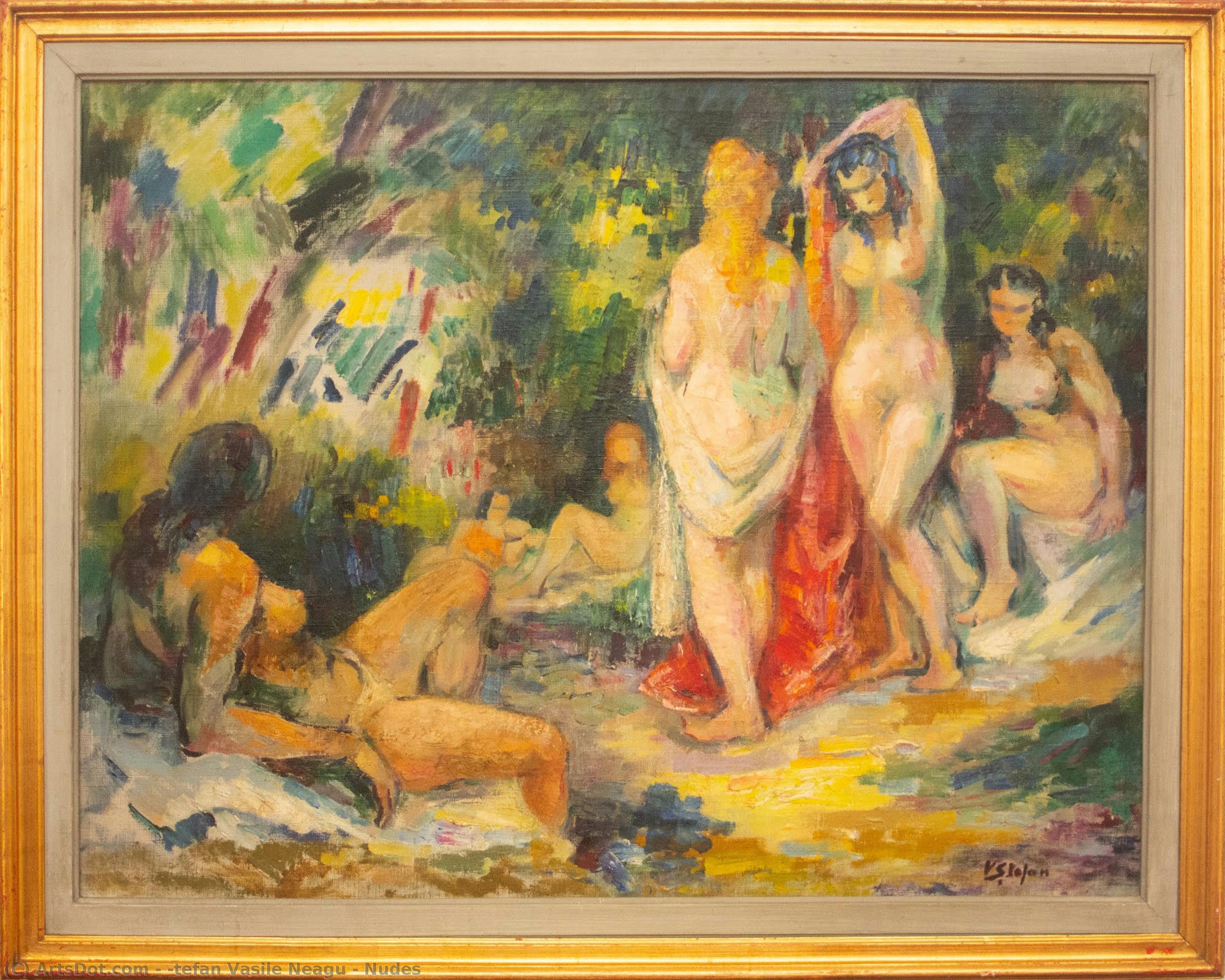 Nudes — Ștefan Vasile Neagu