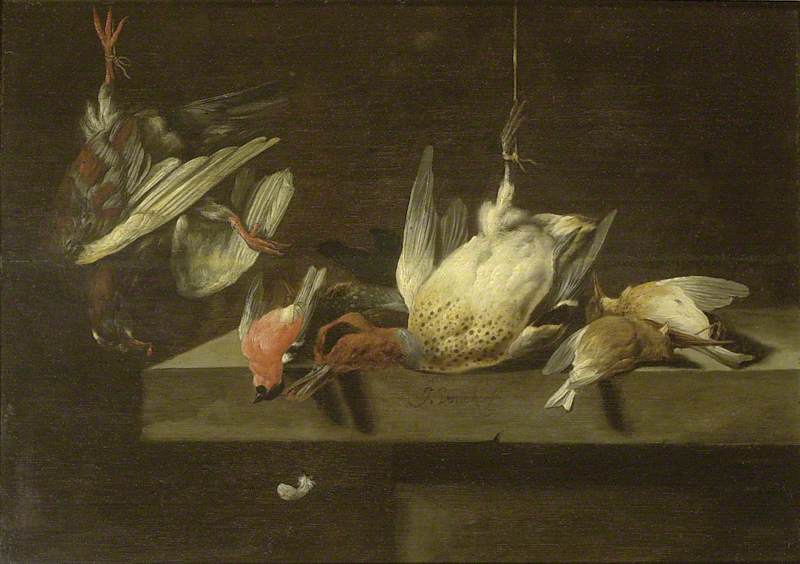 Still Life Of Dead Birds — Jan Vonck