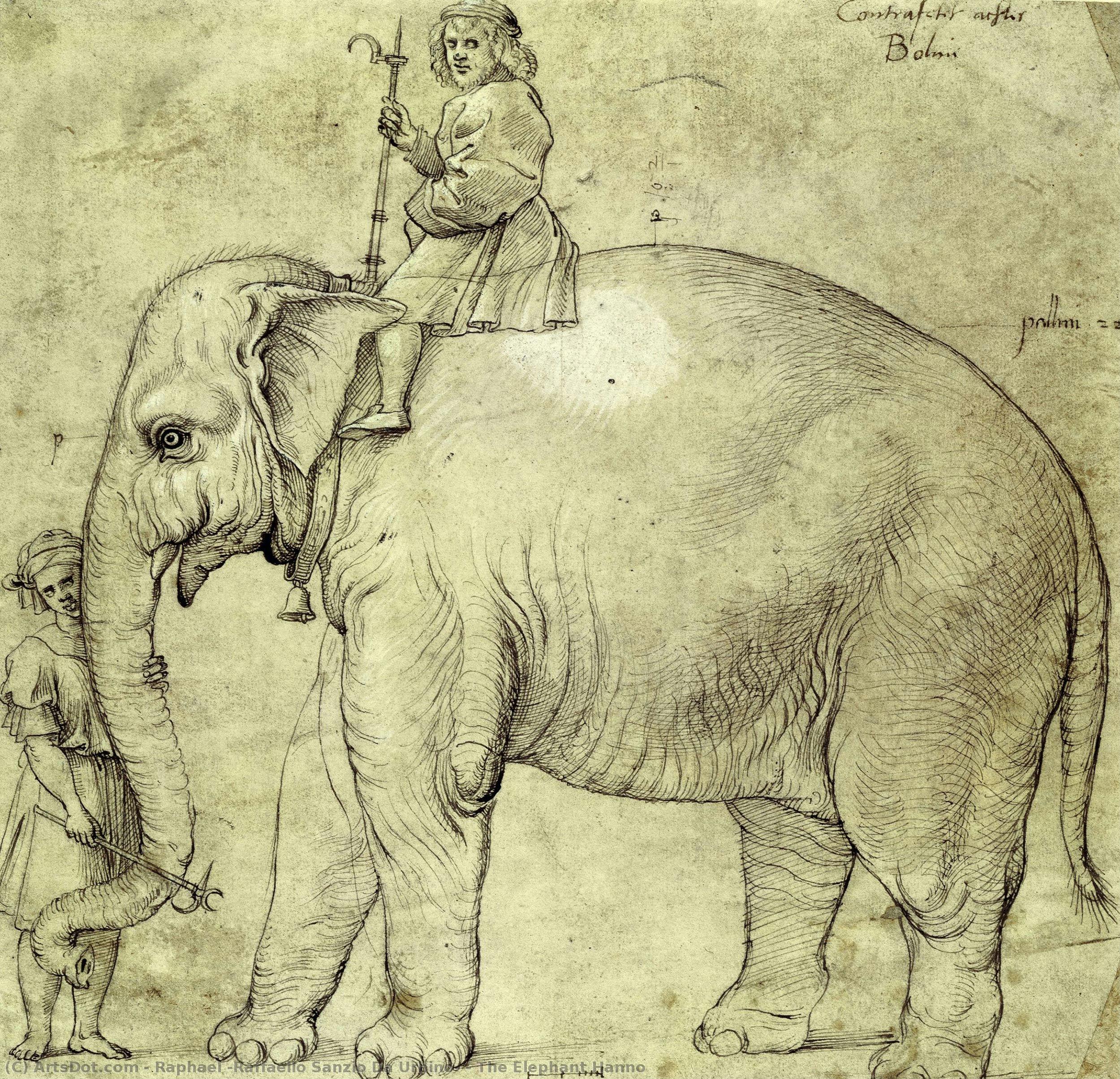 The Elephant Hanno — Rafael