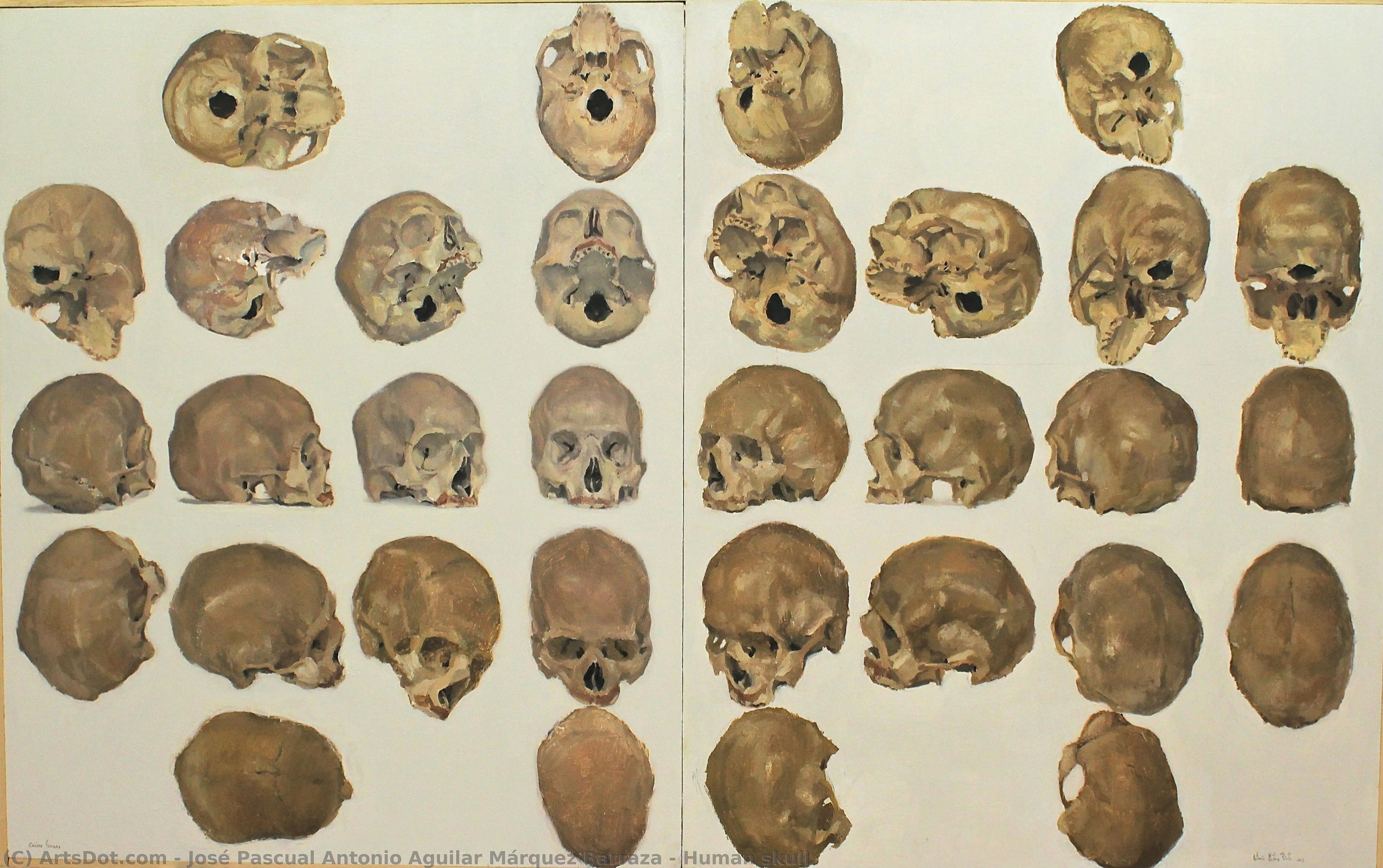 Human Skull — Antonio Aguilar