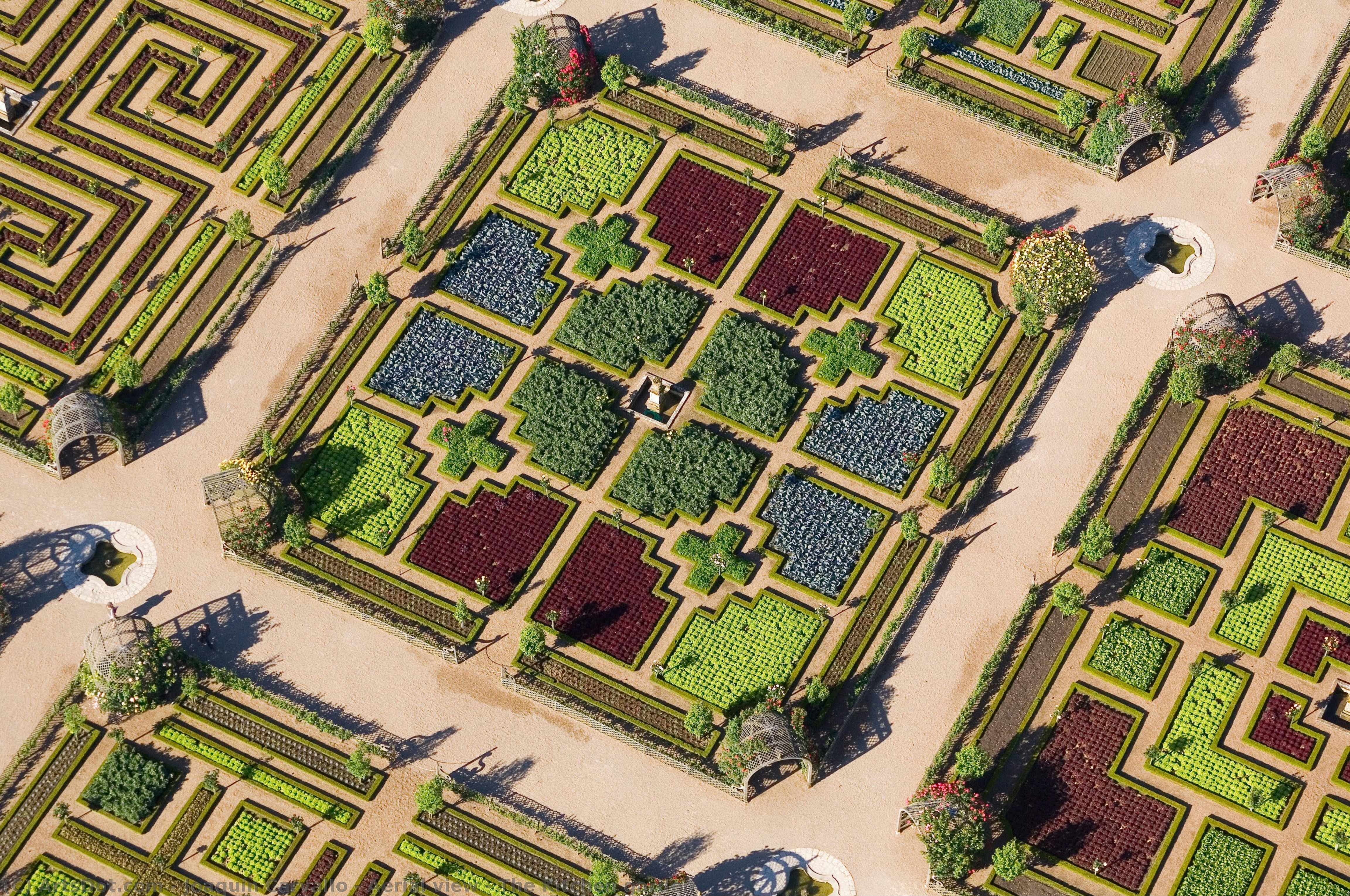 Aerial View - The Kitchen Garden — Joaquín Carvallo