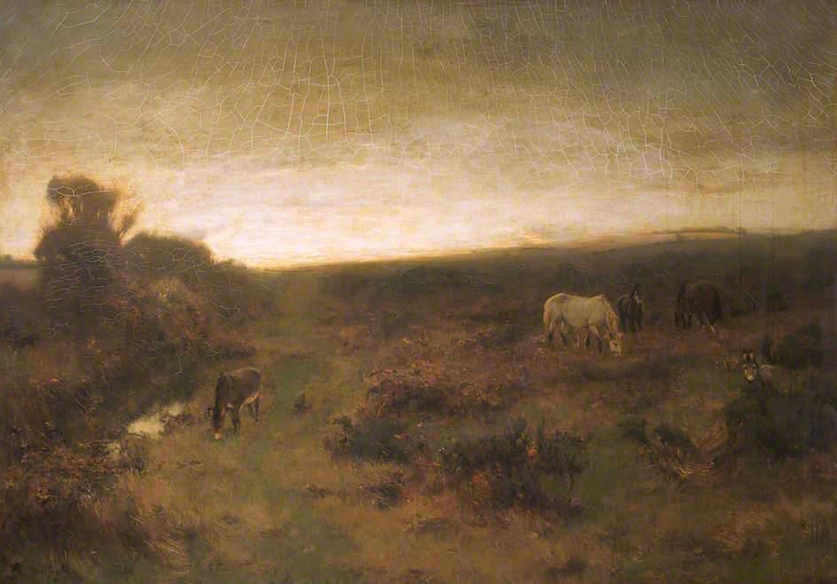 Early Morning On Beer Common, South Devon — David Farquharson
