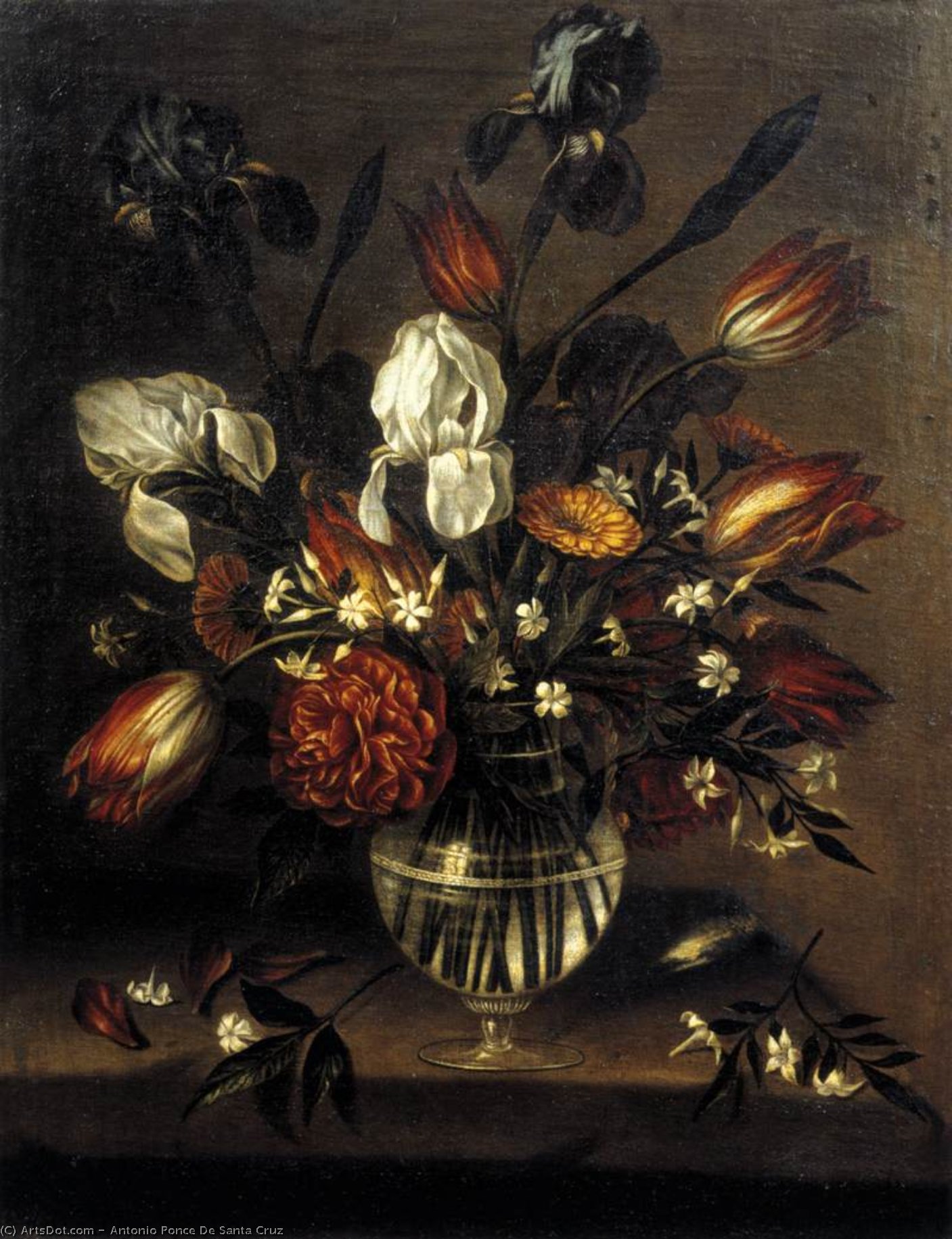 Vase Of Flowers — Antonio Ponce De Santa Cruz
