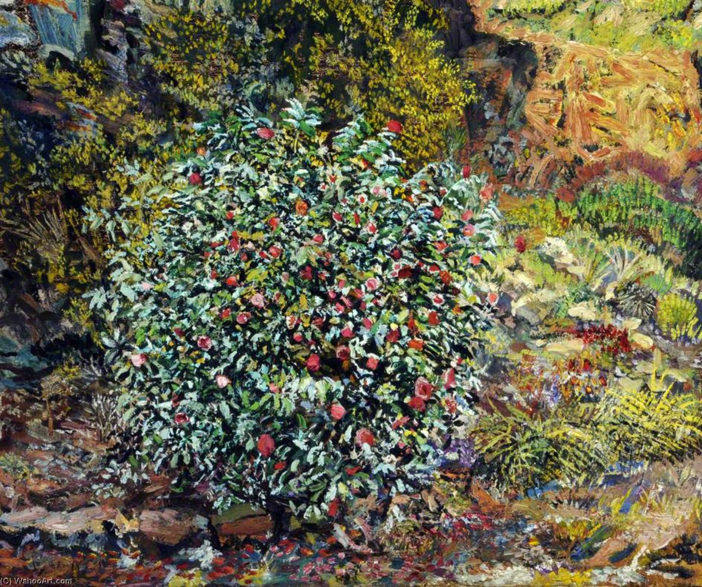 Portrait Of A Camellia Bush — Francis Ferdinand Maurice Cook