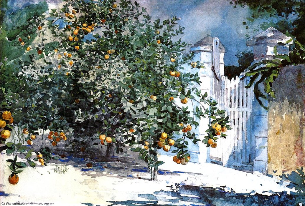 Orange Tree Nassau Aka Orange Trees And Gate — Winslow Homer
