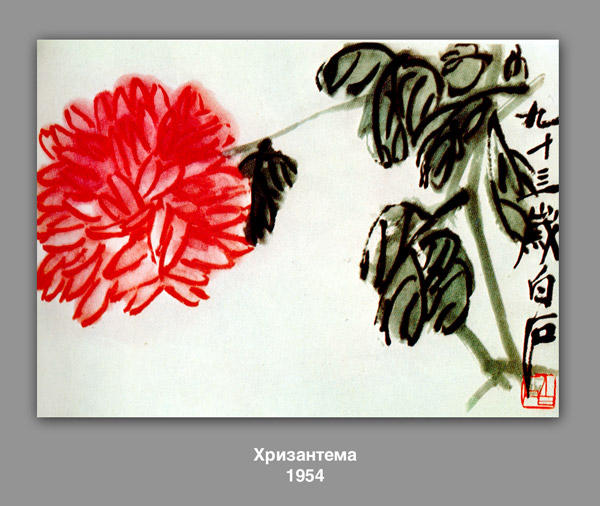Chrysanthemum — 斉白石